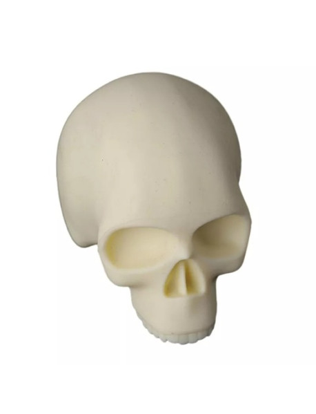 Skull Tattoo Practice Skin