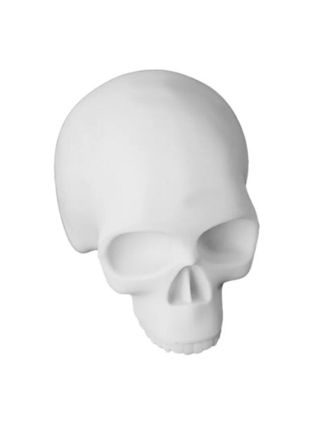 Skull Tattoo Practice Skin